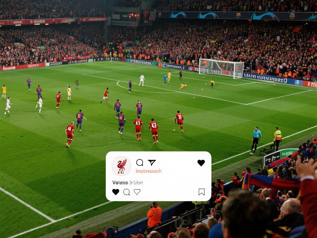 到重新演绎 到重新演绎